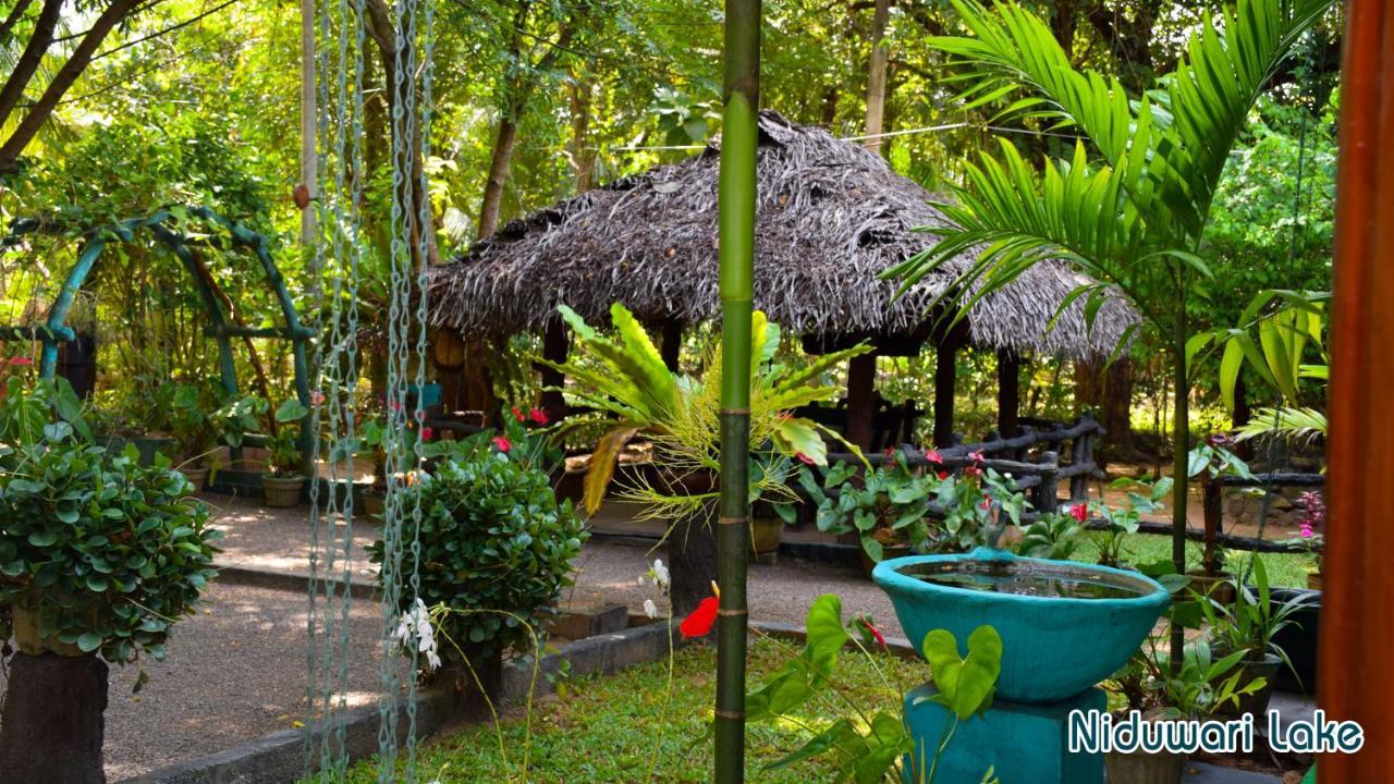 Niduwari Lake Homestay دامبولا المظهر الخارجي الصورة