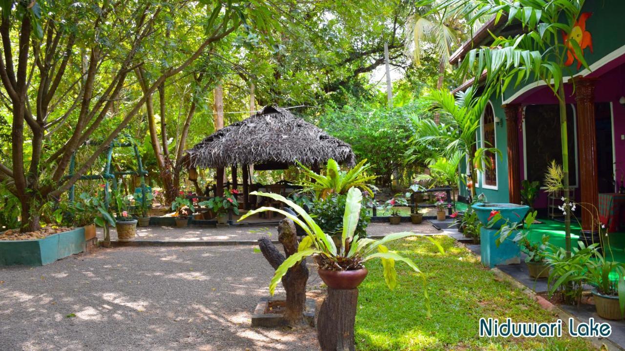 Niduwari Lake Homestay دامبولا المظهر الخارجي الصورة