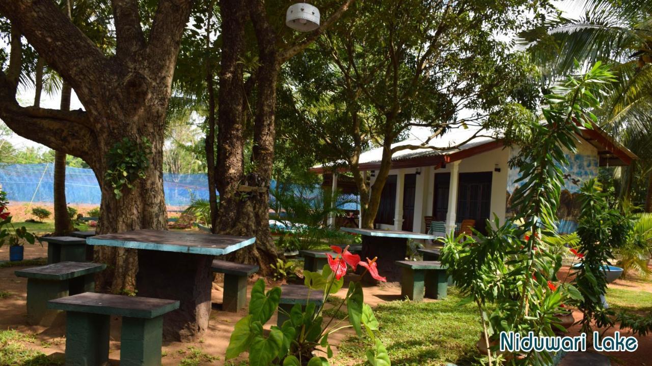 Niduwari Lake Homestay دامبولا المظهر الخارجي الصورة