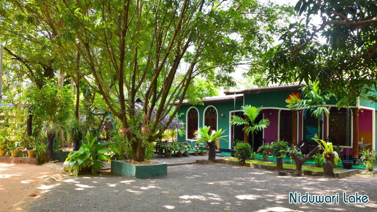 Niduwari Lake Homestay دامبولا المظهر الخارجي الصورة